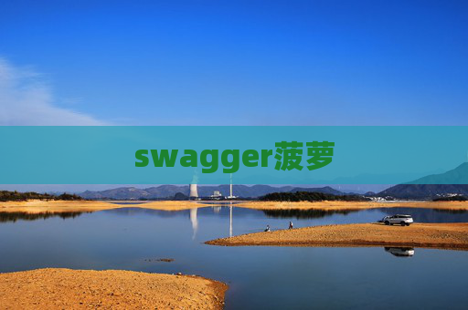 swagger菠萝
